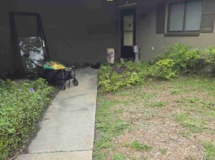 Bush Trimming by Elvis Pintado for Leana S. in Clearwater, FL