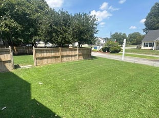 Alisse S.'s Lawn Care service result