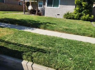 Sharon M.'s Lawn Care service result