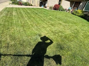 June M.'s Lawn Service service result