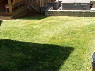 Hansen S.'s Lawn Care service result