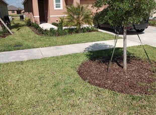 Jaye D.'s Lawn Mowing Service service result