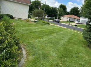 Lacey W.'s Lawn Care service result