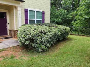 Bush Trimming by Willie P for Cameron S. in Decatur, GA