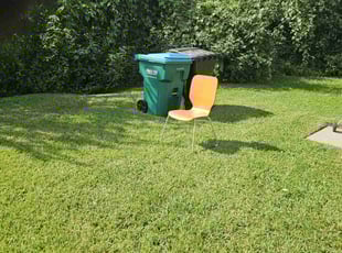 Natalie T.'s Grass Cutting service result