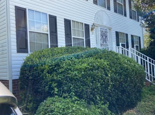 Bush Trimming by De Shawn Williams for Benice D. in Chesterfield, VA