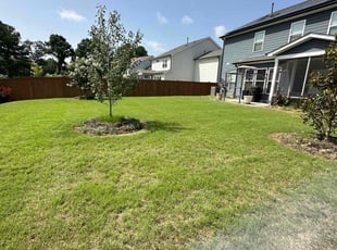 Tiffany Y.'s Yard Cutting service result