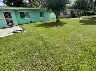 Lorraine D.'s Lawn Care service result