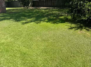 Brad B.'s Lawn Service service result