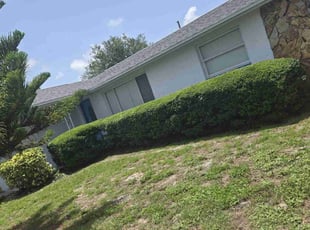 Bush Trimming by Elvis Pintado for Nghia H. in Seminole, FL