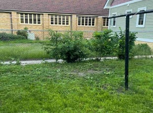 Bush Trimming by Jeregii Cisco for Debra Lynn L. in Minneapolis, MN