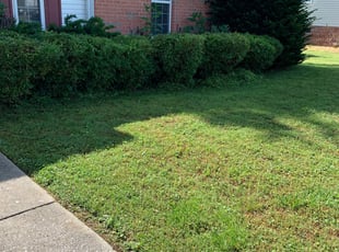 Bush Trimming by LaBronn Anderson for Kara T. in Smyrna, TN