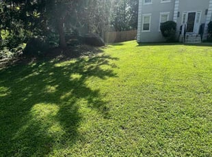 Stephen A.'s Lawn Care service result