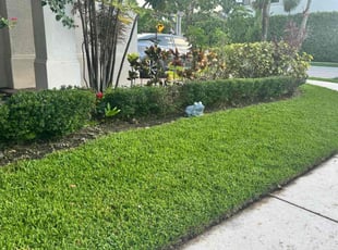 Bush Trimming by Breylin Rapalo for Marquisha H. in Hialeah, FL