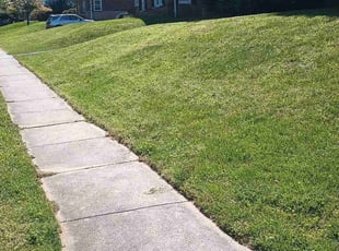robert l.'s Lawn Care service result
