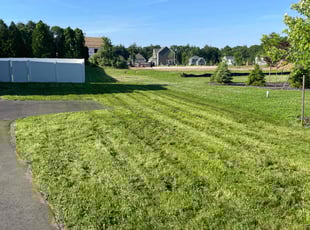 Ferry O.'s Lawn Care service result
