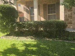 Bush Trimming by Victor Cortes for Kayle C. in Round Rock, TX