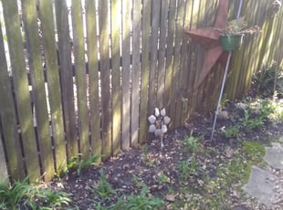 Leaf Removal by Christopher Lawrence for Barbara L. in Chesapeake, VA