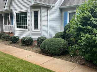 Bush Trimming by John Koonce for Paul S. in Spartanburg, SC