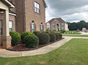 Bush Trimming by Howard Collier for Kenyo R. in Hampton, GA