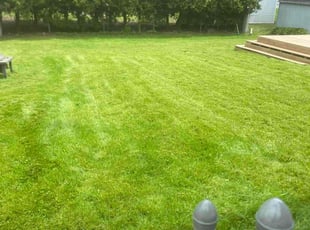 Billy j.'s Lawn Mowing service result