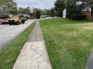 David V.'s Lawn Maintenance service result