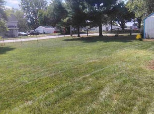 Rosalia m.'s Lawn Care service result