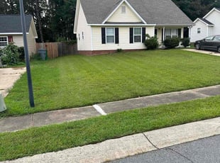 Lacy P.'s Grass Cutting service result