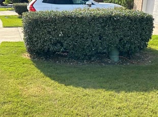 Bush Trimming by Christopher Aguilar for Peter K. in Austin, TX