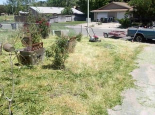 Cleanups by AJ Jackson for Kaneswha C. in Sacramento, CA