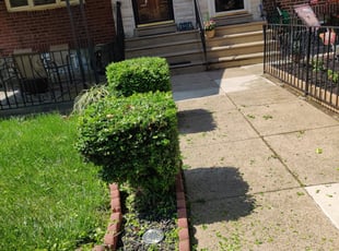 Bush Trimming by Christian Stevens for Troy D. in Philadelphia, PA