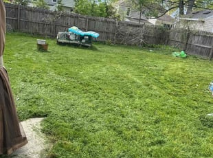 Cleanups by Annette Choates for Michael G. in Buffalo, NY