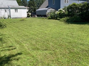 Josh B.'s Grass Cutting service result