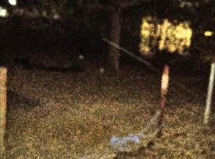 Cleanups by Gregory Kluetz for Marlin D. in San Antonio, TX