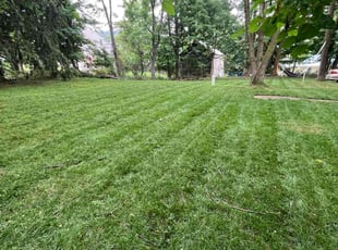 Alexander M.'s Lawn Maintenance service result