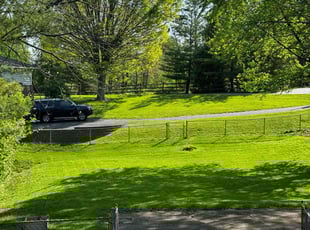 Dawn H.'s Lawn Care service result