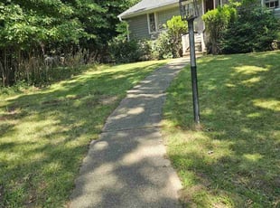 Debra P.'s Lawn Care service result