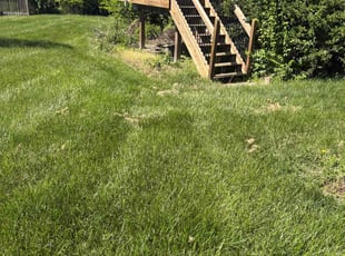 Weeding by David Marsh for Kamia K. in Greenwood, MO
