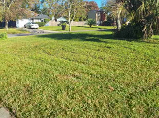 Diana L.'s Lawn Maintenance service result