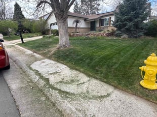Ken S.'s Lawn Service service result
