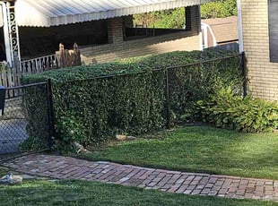 John K.'s Lawn Service service result