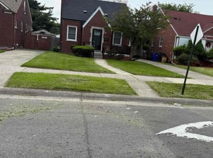 Bush Trimming by Marvin Braxton for Afrkah C. in Detroit, MI