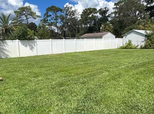 Damaris D.'s Yard Cutting service result