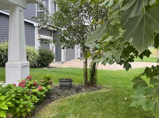 Sean B.'s Yard Cutting service result