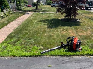 Shay S.'s Lawn Service service result