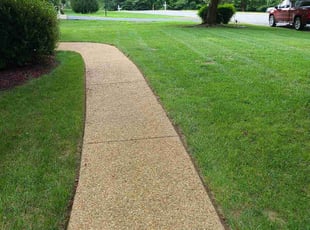 Rochelle F.'s Lawn Maintenance service result