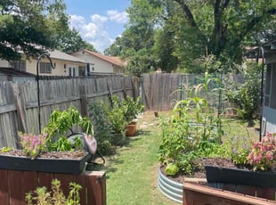 Weeding by Howard Webb for Krystal R. in San Antonio, TX