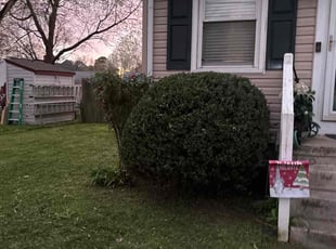 Bush Trimming by Bryan Tyler for Patricia W. in Williamsburg, VA