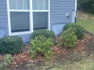 Bush Trimming by Kody Brown for Timothy W. in Stafford, VA