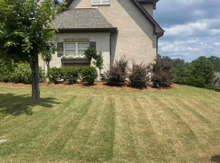 Shauna M.'s Lawn Mowing Service service result